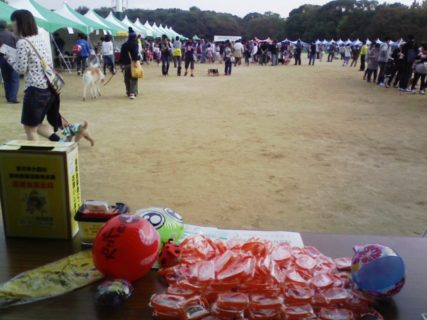 2011年大阪城動物愛護フェステイバル（その２）