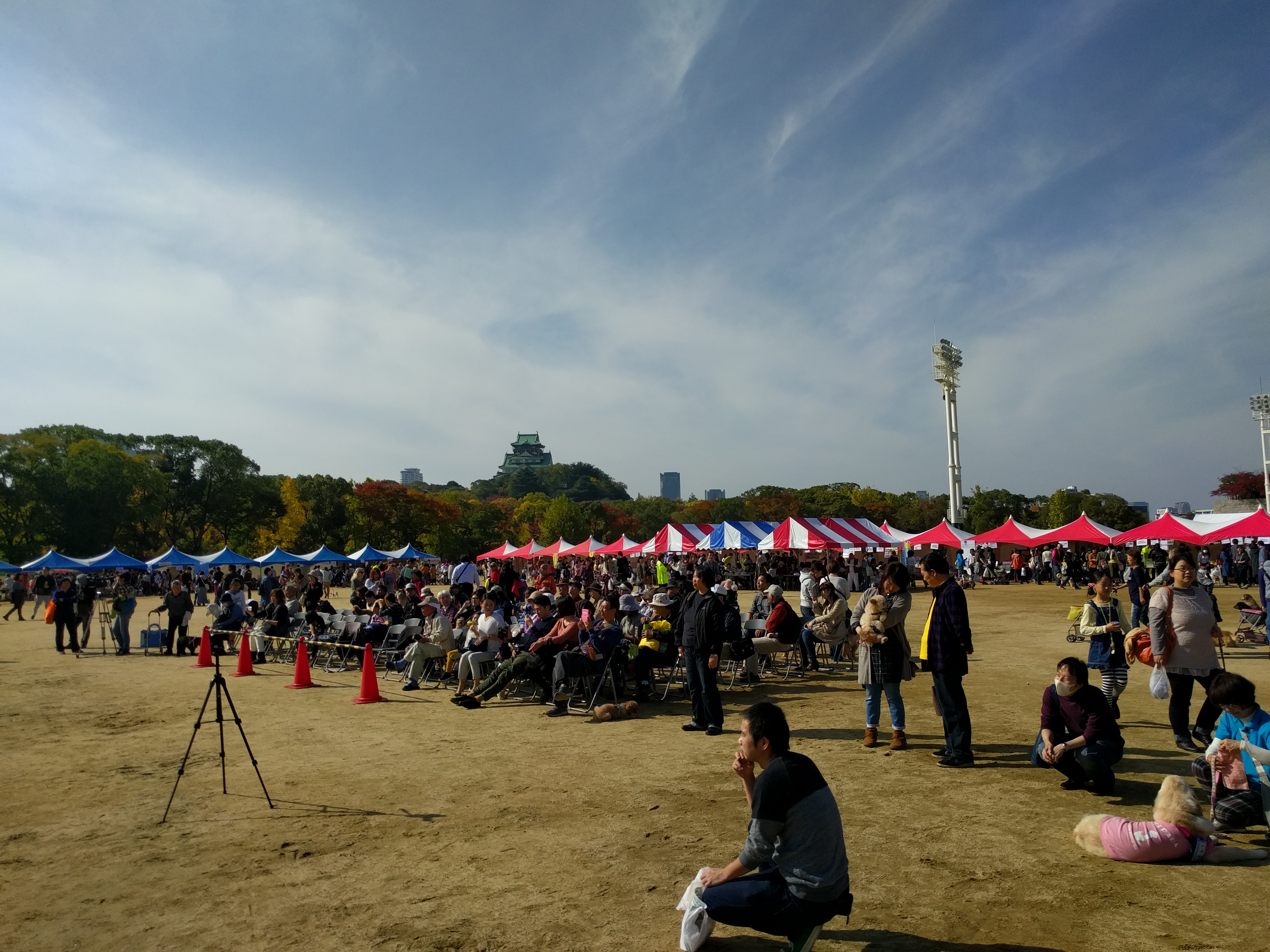 大阪城動物愛護フェスティバル開催されました！