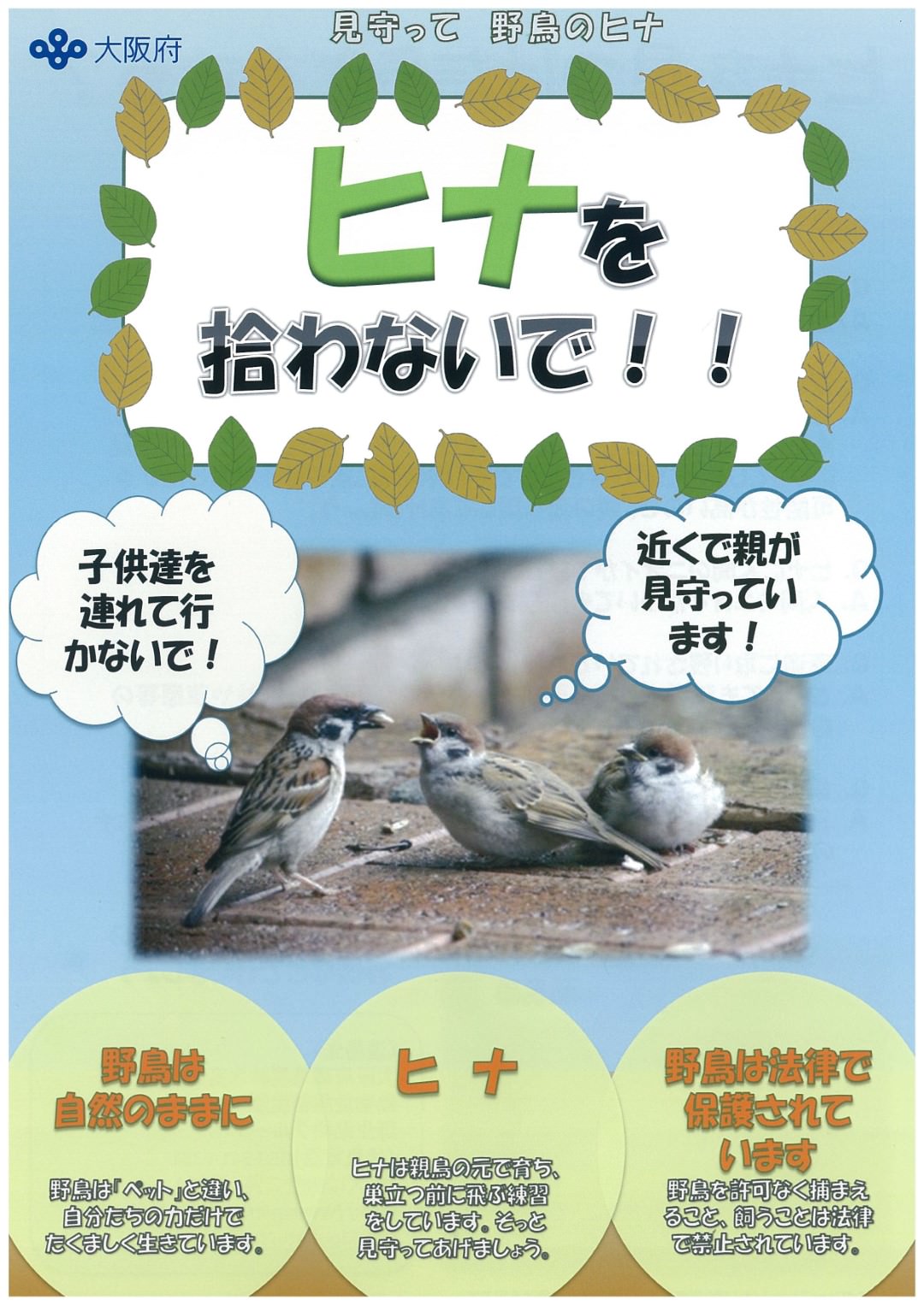 大阪府獣医師会からのお知らせ「ヒナを拾わないで」