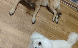 通常診療を行っています。