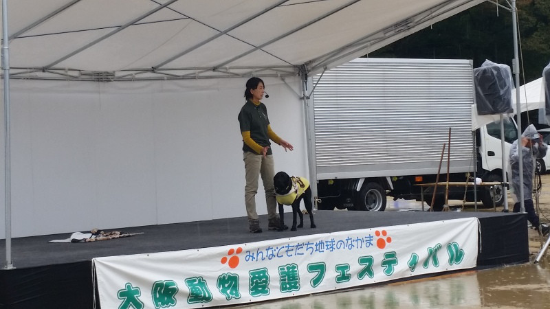 大阪動物愛護フェスティバル１